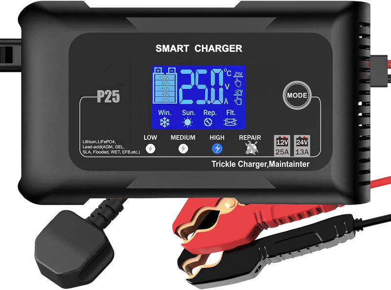 Universal 25A 12v/24v Smart Battery Charger - Lithium, Gel AGM